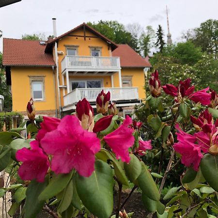 Ferienwohnung Casa Casimir Mit Elbblick, Balkon Und Grossen Garten 德累斯顿 外观 照片