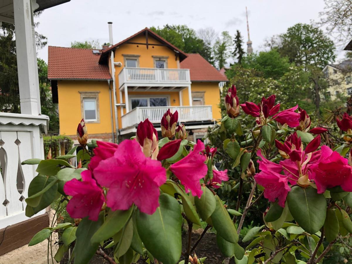 Ferienwohnung Casa Casimir Mit Elbblick, Balkon Und Grossen Garten 德累斯顿 外观 照片